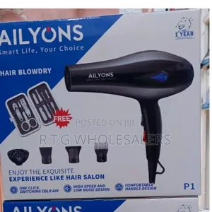 Get the Perfect Blowdry With Ailyon