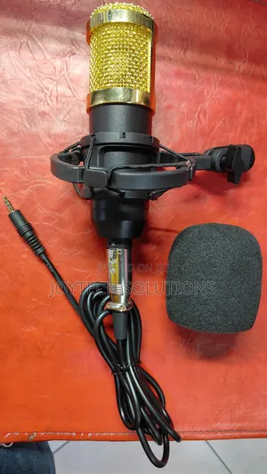 Hot Selling Condenser Microphone