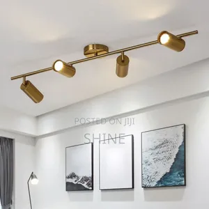 Modern Gold Track Light/ Spot Light