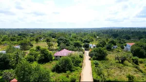 Diani Mwambungo