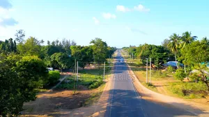 Diani Mwambungo