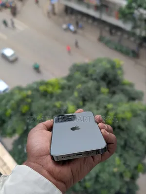 Apple iPhone 13 Pro Max 128 GB Gray