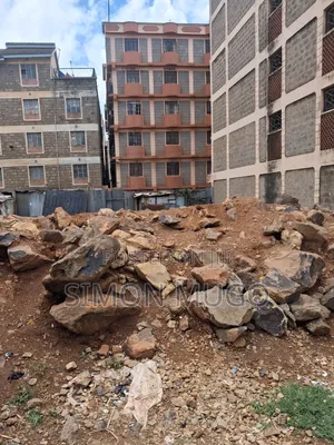 Githurai 44 Roysambu Kamiti Road 40x80 Ready Title