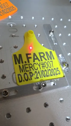 Cattle -Large Branded Ear Tags