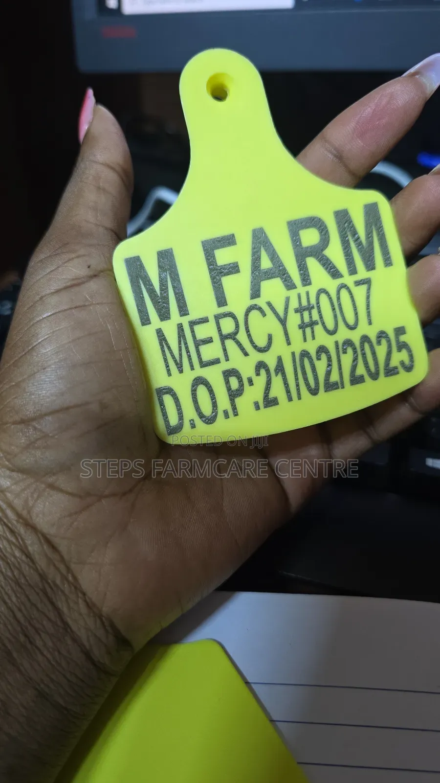 Cattle -Large Branded Ear Tags