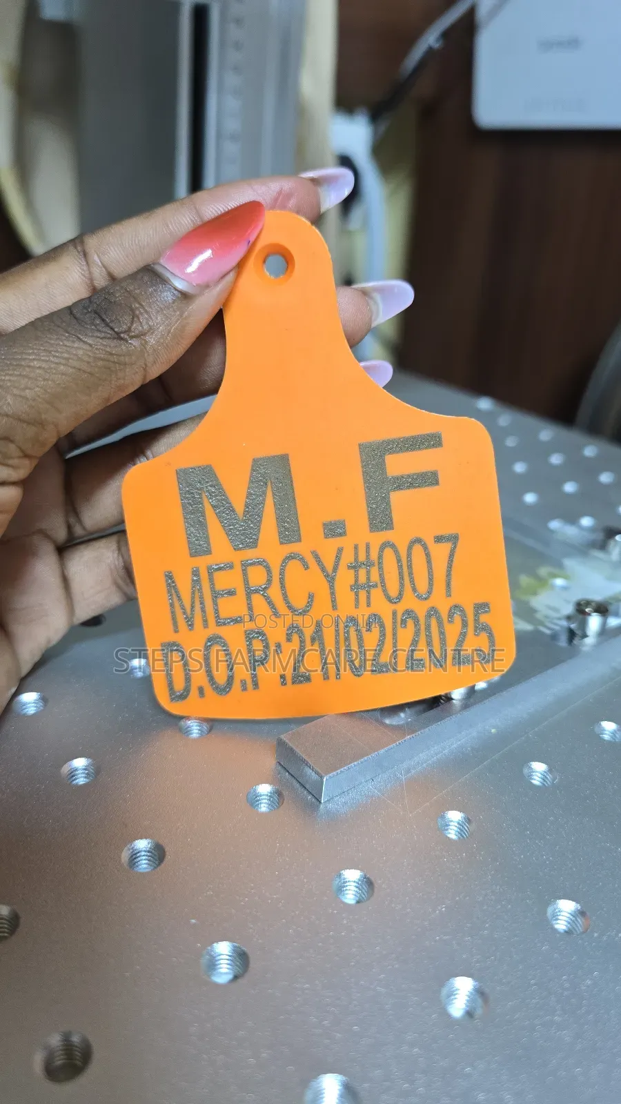 Cattle -Large Branded Ear Tags