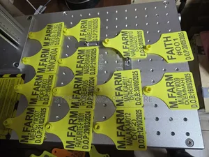 Neatly Customised Cattle Identification Ear Tags