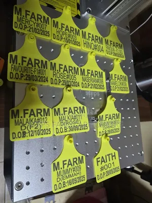 Neatly Customised Cattle Identification Ear Tags