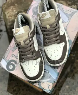 The *Nike Sb Dunks Low "Steam Boy"