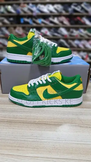 Nike Sb Multi Color