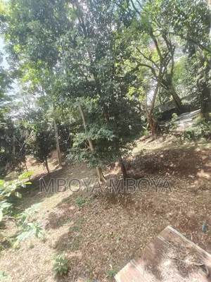 Prime Land for Sale and for J.V Along Peponi Road