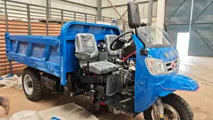 3–3.5 Ton Diesel Cargo Tipper Tricycle With Steering Wheel(Heavy Duty)