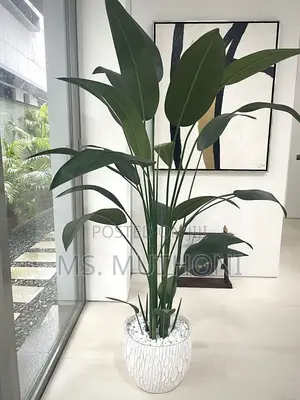 Faux Real Touch Decorative Steritizia Plant
