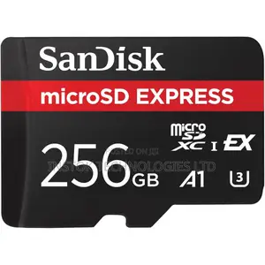 Sandisk Microsd Express Card 256gb