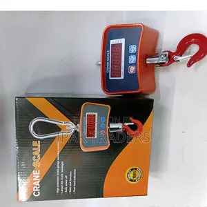 500kg Mini Crane Scale