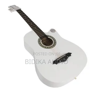 Irin 38 Inch 6 String Acoustic Guitar