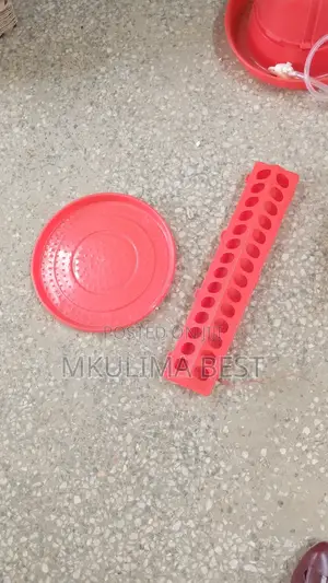 Feeding Trough
