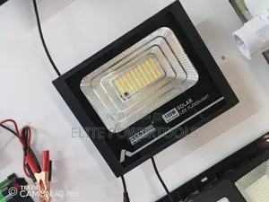 100w Floodlight