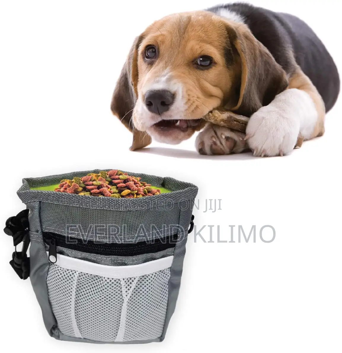 Professional Dog Trainer Treat Bag