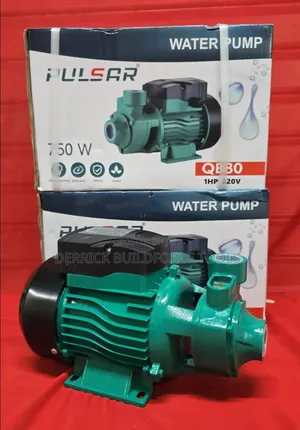 Pulsar 0.5hp Booster Pump
