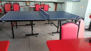 18mm Ping Pong Table With Accessories