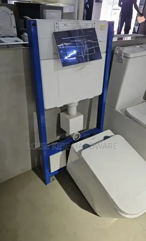 Concealed Cistern and Wall Hung Toilet Available