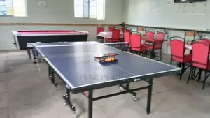 18mm Competition Ping Pong Table