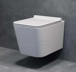 Wall Hung Toilet Available