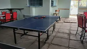 Table Tennis Table With Net Bats