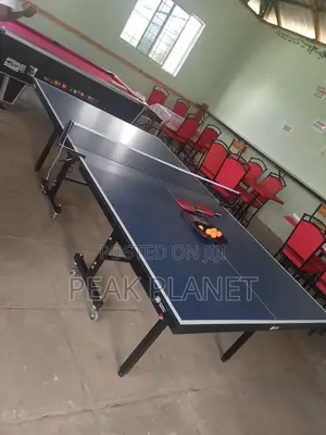 Full Set 18mm Table Tennis Table