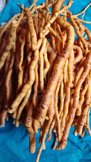 Mukombero Chewing Sticks. Bundle 1