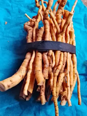 Mukombero Chewing Sticks. Bundle 1