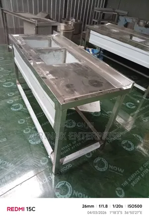 Stainless Steel Double Bowl Sink