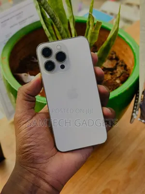 Apple iPhone 13 Pro 256 GB Silver