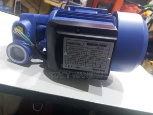 High Quality Booster Pump
