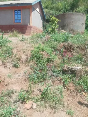 1⁄4 Acre Plot Uplands