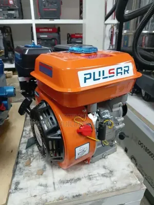 Pulsar Germany Gasoline Engine