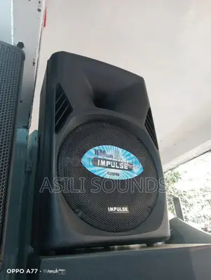 Impulse 15-Inch Pa Midrange Speaker.