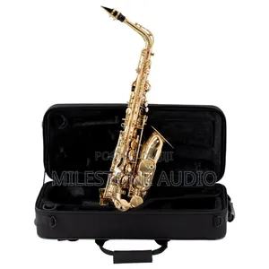 Alto Saxophone Voh