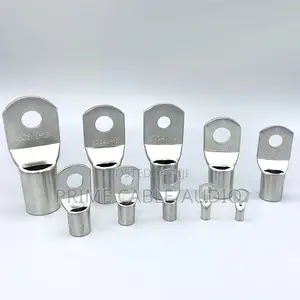 High Quality Sc 70-10 Tinned Copper Cable Lug