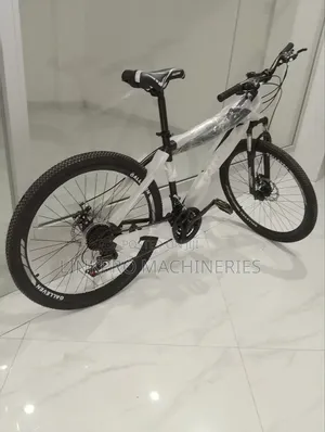 Size 26 Galleven Bike