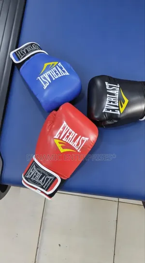 Everlast Boxing Gloves