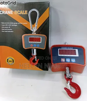 500kg Mini Crane Scale