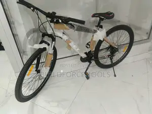 29" Reset Mountain Bike