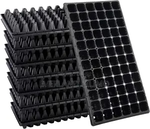 Seedling Trays for Tomato, Cabbage Vegetable Nursery
