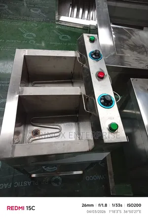 Stainless Steel Double Tank Deep Fryer
