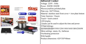 DSP Brand Infrared Cooker, Specifically Model DSP-2000w.
