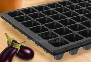 Professional Nursery Seedling Trays For Farmers