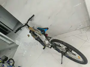 21 Speed Premier Mountain Bike Size 29"