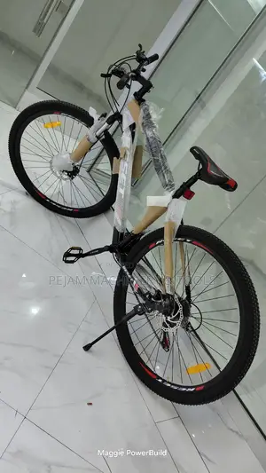 Size 29er Adult Mountain Bike Fully Geared
